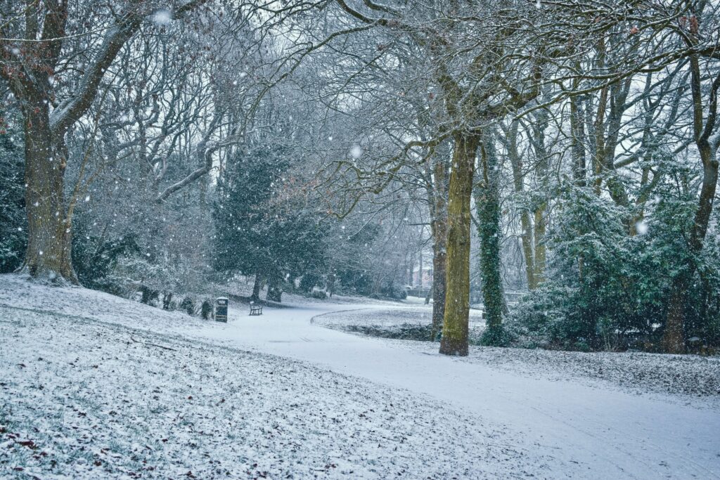 This picture shows a snowy covered path going through some woods.